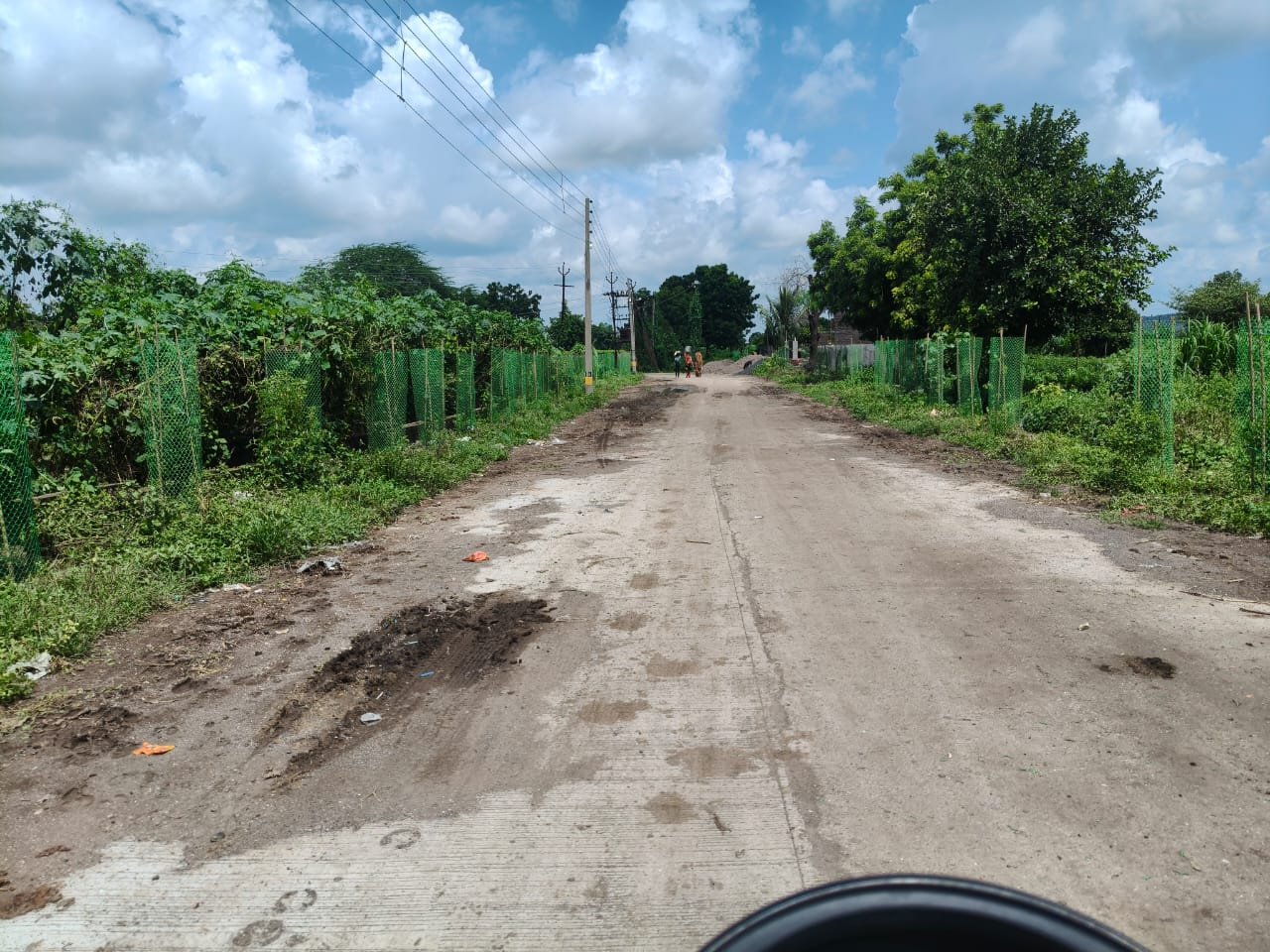 वृक्ष लागवड व संगोपन